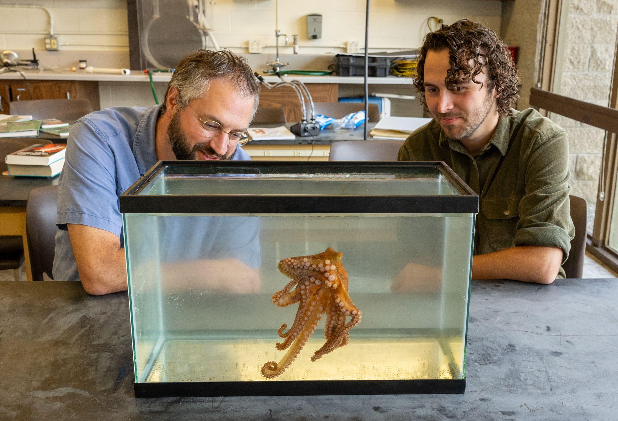 Student and Onthank observe an octopus in a tank.